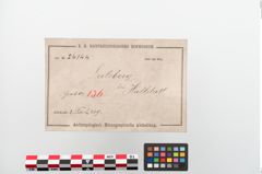 Etiketten zu Bronzebrillenfibel (NHMW-PRAE-024144)